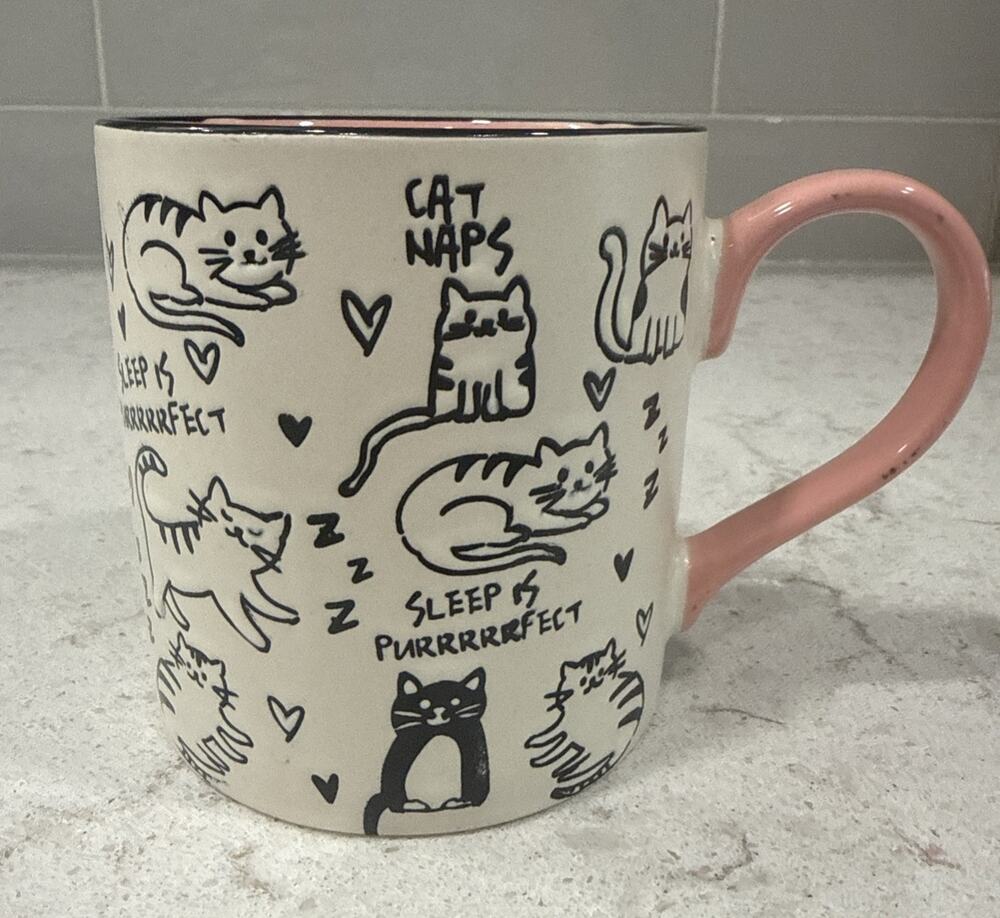 Spectrum CUTE KITTEN Pink Interior Adorable Hand Painted 18oz Large Mug CAT CATS